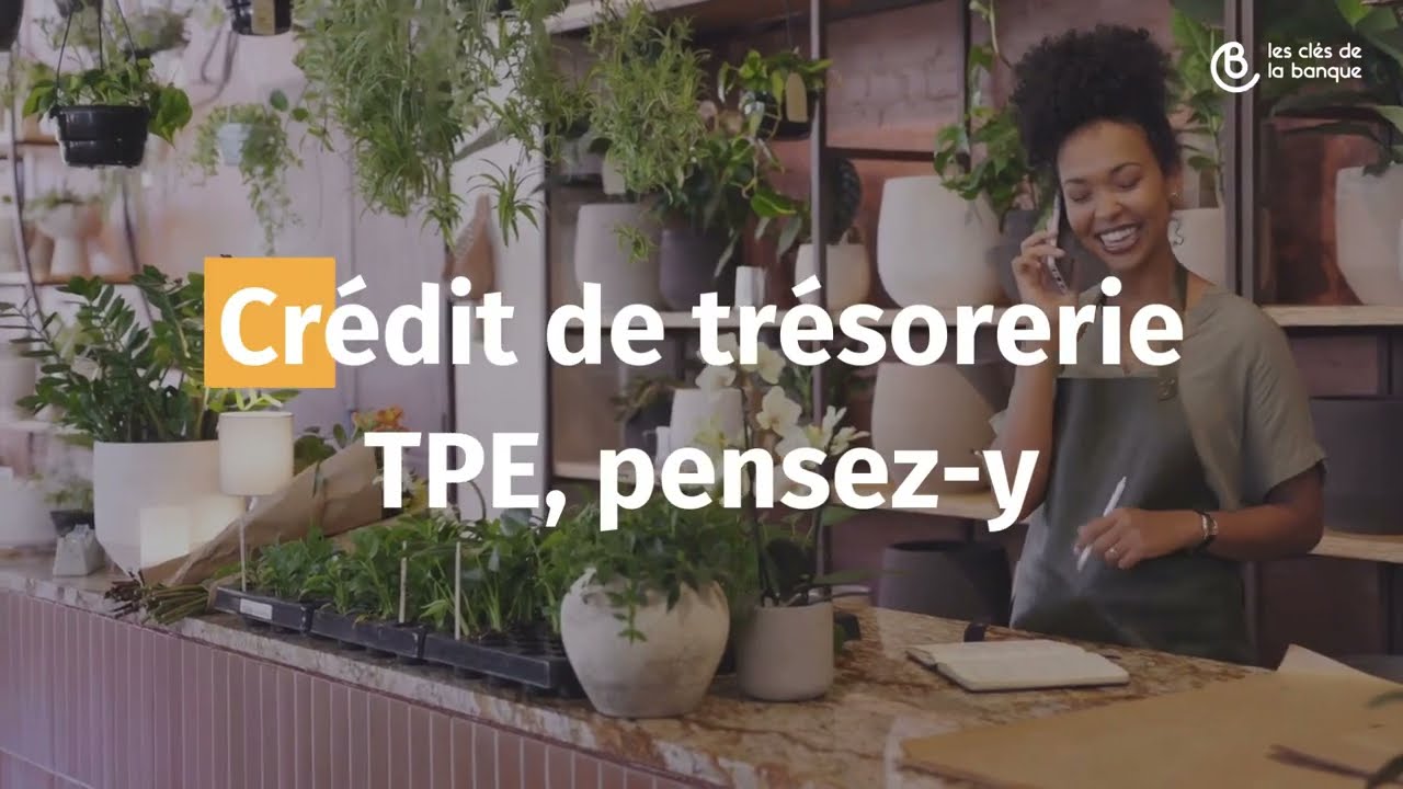 Crédit de trésorerie pour une TPE et crédit de campagne