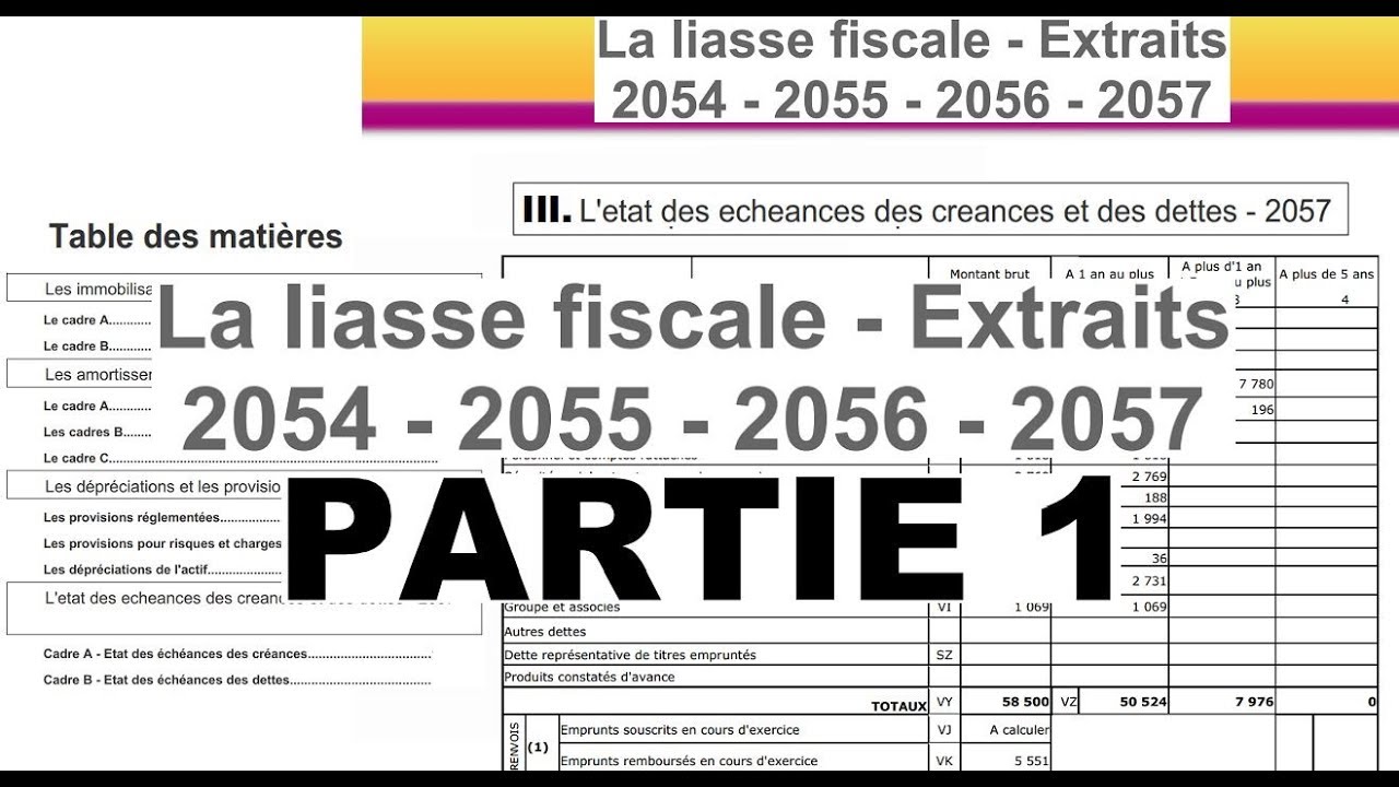 La liasse fiscale : extraits 2054, 2055, 2056 et 2057