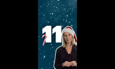 Case 11 - Travailler avec sa conjointe, pas trop dur pour le Père Noël ?