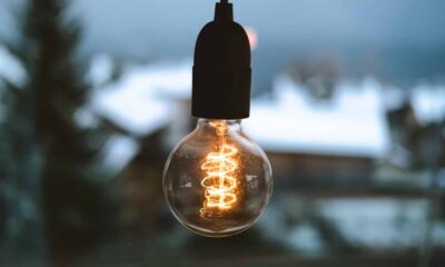 Comment Reduire Son Résultat Pour Payer Moins D’Impôts En 2023?