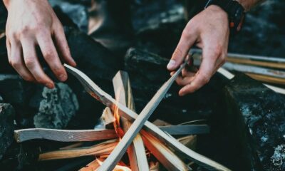 Comment Survivre En Foret ?