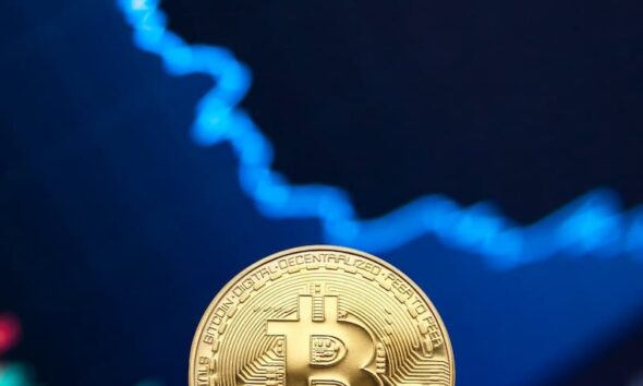 La Crypto-Monnaie : Investissement Gagnant Ou Risque Inutile ?