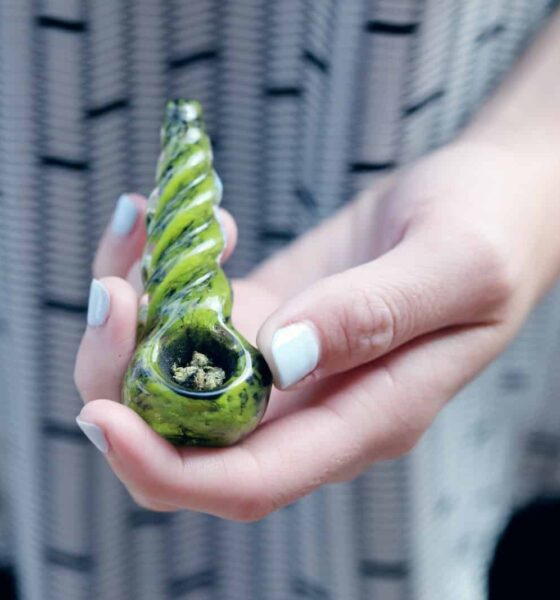 Quels sont les avantages et les inconvénients du CBD ?