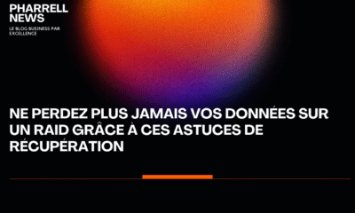 Ne Perdez Plus Jamais Vos Données Sur Un Raid Grâce À Ces Astuces De Récupération
