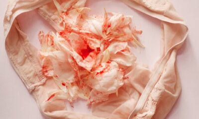 Comment La Culotte Menstruelle Peut Révolutionner Votre Cycle Menstruel : Un Regard Approfondi