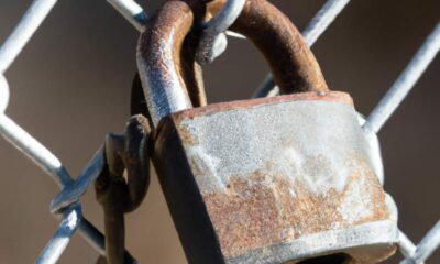 5-strategies-pour-entrer-sur-un-marche-et-minimiser-les-risques