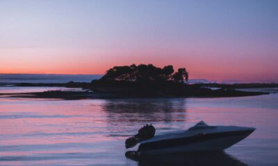 5-strategies-pour-maintenir-une-activite-florissante-malgre-une-perte-de-capital-social