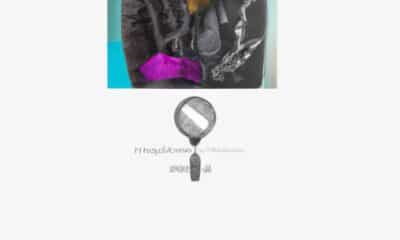 aides-pole-emploi-pour-creer-une-entreprise-choisissez-la-base-de-donnees-qui-vous-menera-au-succes