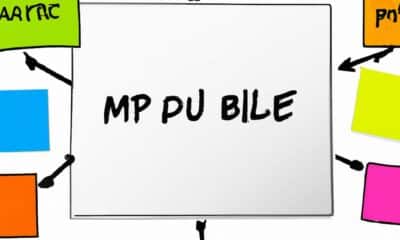 creez-votre-persona-marketing-etape-par-etape