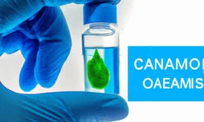 cvae-definition-et-calcul-de-cette-taxe-tout-ce-que-vous-devez-savoir