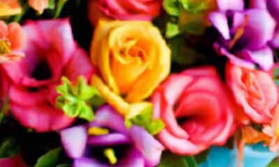 decouvrez-le-parcours-incroyable-de-boognat-com-10-ans-dinnovation-et-de-succes