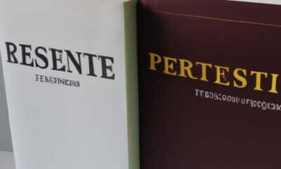 decryptage-des-differences-de-remuneration-entre-gerant-et-president-les-nuances-a-connaitre