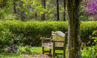 la-therapie-a-mi-temps-un-equilibre-parfait-pour-votre-sante-mentale