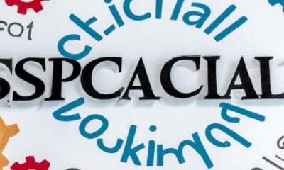 le-capital-social-latout-majeur-pour-le-succes-dune-entreprise