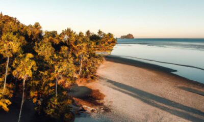 les-casinos-sans-depot-une-experience-unique-pour-des-voyages-inoubliables