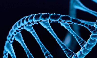 mutation-disciplinaire-definition-et-procedure-a-connaitre