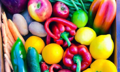 regime-micro-bnc-conditions-et-fonctionnement-expliques