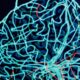 secousse-hypnique-causes-et-symptomes-expliques