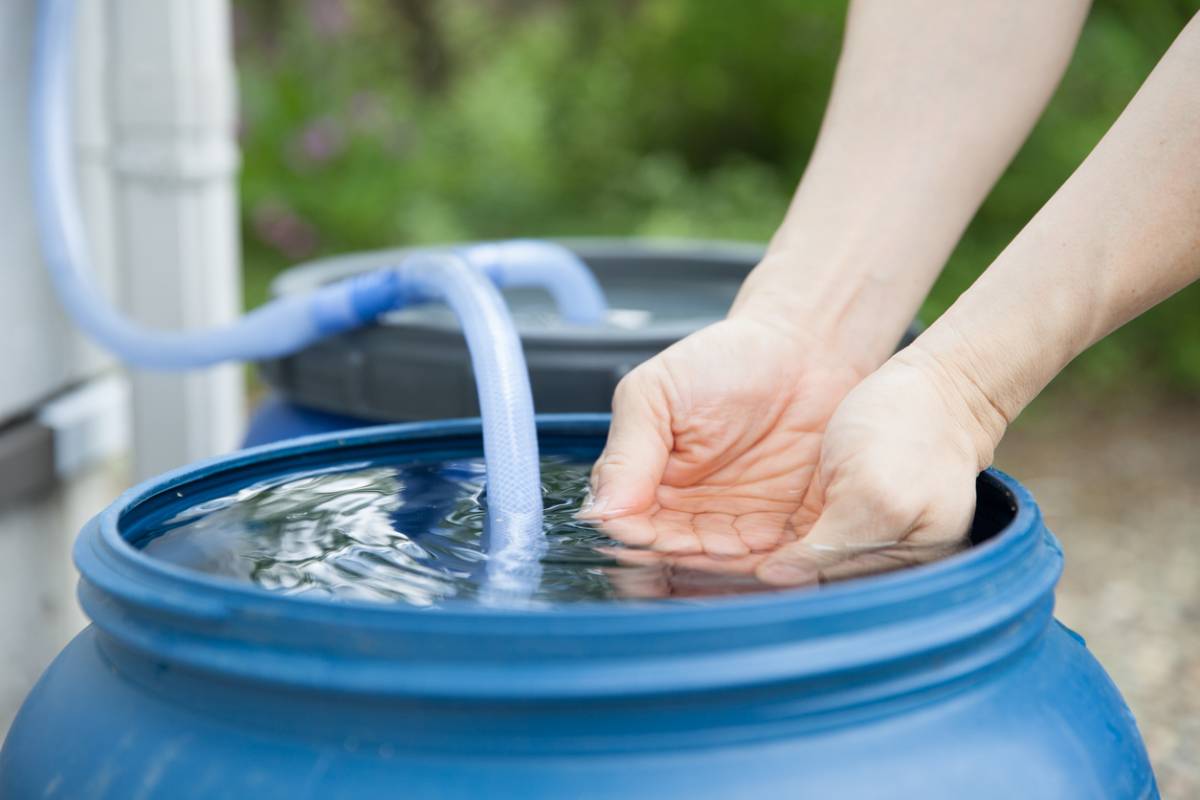 Récupération d'eau de pluie : quels avantages pour les entreprises ?
