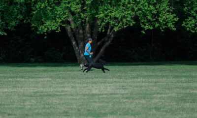 richesse et h ritage r v l s