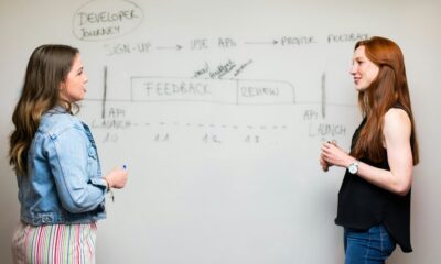 livementor s training program evaluation