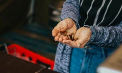passive income strategies 2025
