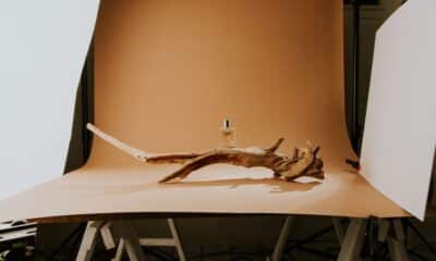 Flacon posé sur du bois flotté dans un studio de photographie produit
