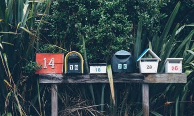 Six boîtes aux lettres numérotées alignées devant une haie